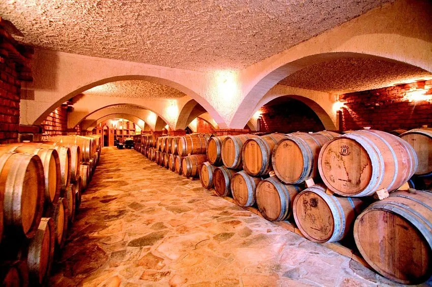 Oak barrels ageing wine in a stone cellar on the Pelješac peninsula